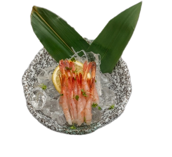 Raw Sweet Prawn Sashimi
